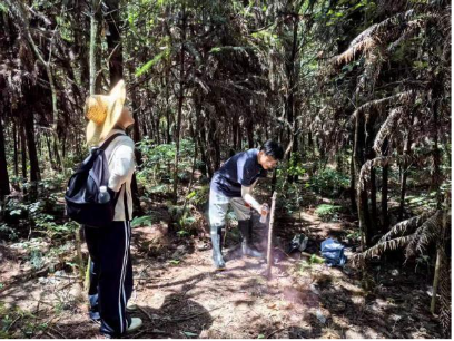 81b36c3a0fde2d563480c721da588ee6